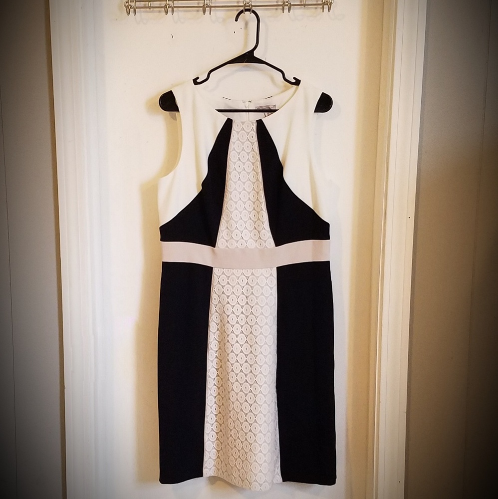 Dress Barn Dress